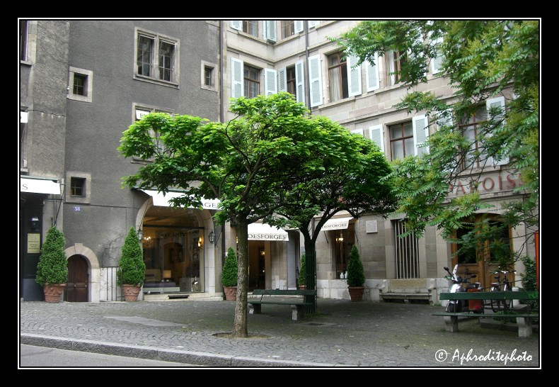 010 Un coin de verdure à la rue de l Hôtel de Ville